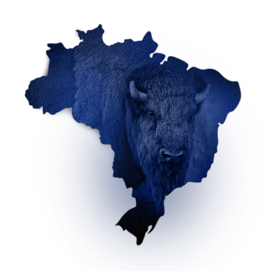 Mapa do Brasil sobreposto à cabeça de um búfalo, representando a atuação nacional da Buffalo Digital
